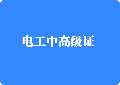 日本男人插女人逼视频电工中高级证